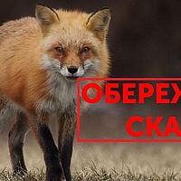 ""